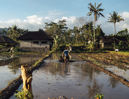 Getting Pumped: Launching Finance for Solar Irrigation