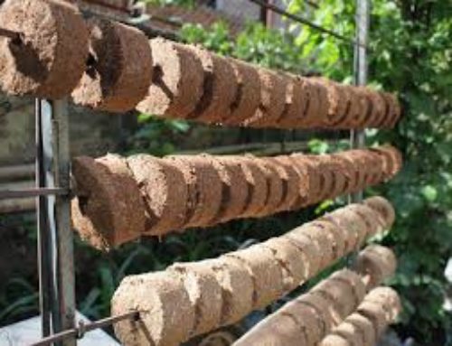 No More Wood:  Piloting Biomass Briquettes in Tanzania