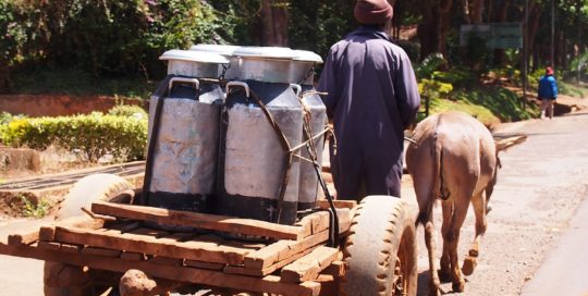 Cameroonian farmer