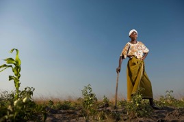 Women and Agriculture | Renewable Energy