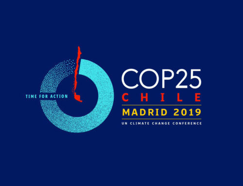 Aktivera Media: Simplifying COP25